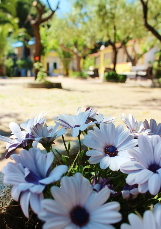 Residence Rendez Vous Βιέστε Εξωτερικό φωτογραφία